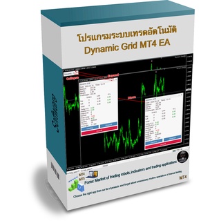 โปรแกรมระบบเทรดอัตโนมัติ Dynamic Grid MT4 EA