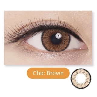 Maxim Contact lens ตาโต กล่องส้ม (รายเดือน 1 คู่)