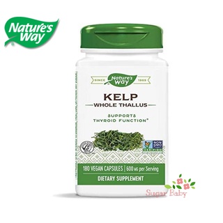 Natures Way Kelp Whole Thallus 600 mg 180 Vegan Capsules สาหร่ายเคล์ป