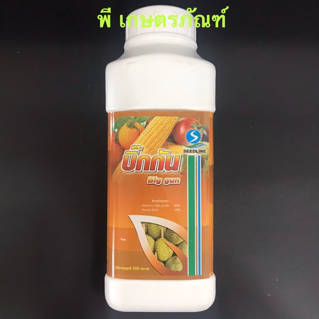 บิ้กกัน ขยายผล เพิ่มน้ำหนัก Seedline