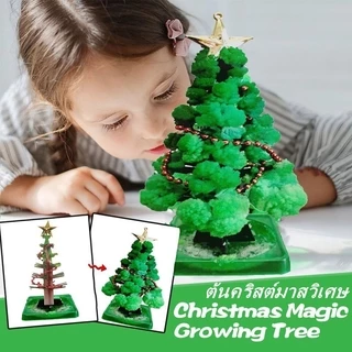 🎄พร้อมส่ง🎄ต้นคริสต์มาส ต้นไม้วิทยาศาสตร์ ของเล่น Magic Growing Christmas Tree ของขวัญคริสต์มาส