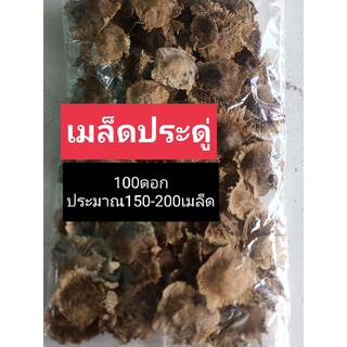 เมล็ดประดู่100ดอก🏵️150-200เมล็ด🌱