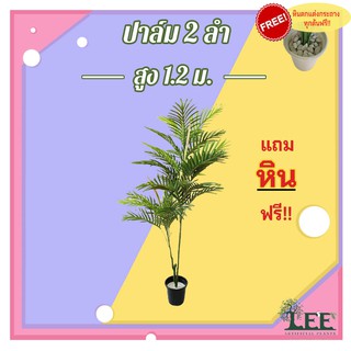 ต้นไม้ปลอม ต้นปาล์ม3ลำ สูง 1.2 เมตร