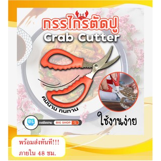 🦀🦐 กรรไกรแกะปู อุปกรณ์แกะปู KC-0030