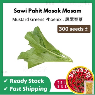 Vegetable Seeds / Biji Benih Sayur : Sawi Pahit Masak Masam.Mustard Greens Phoenix.สวนเมล็ดพันธุ์ผักฤดูใบไม้ผลิหางฟีนิกซ