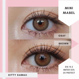 Kitty kawaii Mini Mabel brown ค่าสายตาปกติ