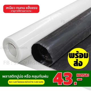 ราคา 25บ./ เมตร พลาสติกปูบ่อ หรือ คลุมกันฝน หนา 120 ไมครอน หรือ 0.12มิล