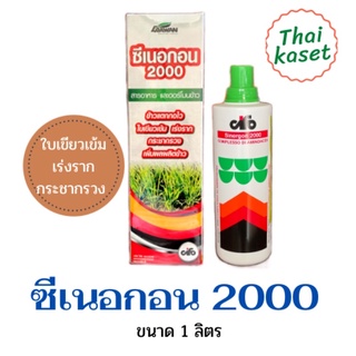 ซีเนอกอน 2000(ขนาด1ลิตร)สารกระตุ้นการเจริญเติบโตของพืช สำหรับใช้สะสมอาหารและกระตุ้นการออกดอก ให้พืชโตเรผัวช่วยขยายขนาดผล