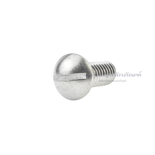 น็อตหัวร่มผ่าสแตนเลส ขนาด 5/32" - 1/4" สกรูหัวร่มผ่า หัวกะทะ หัวเห็ด Stainless Steel Phillip Trush Head Screw