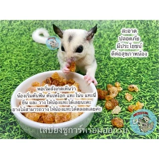 ( ยางไม้ ​) acacia gum อาหารตามธรรมชาติ​ ไม้แทะ ไม้แอปเปิ้ล ไผ่หวาน ชูการ์​ กระรอก​ ดอร์เมาส์​ บุชเบบี้​​ แฮมสเตอร์​