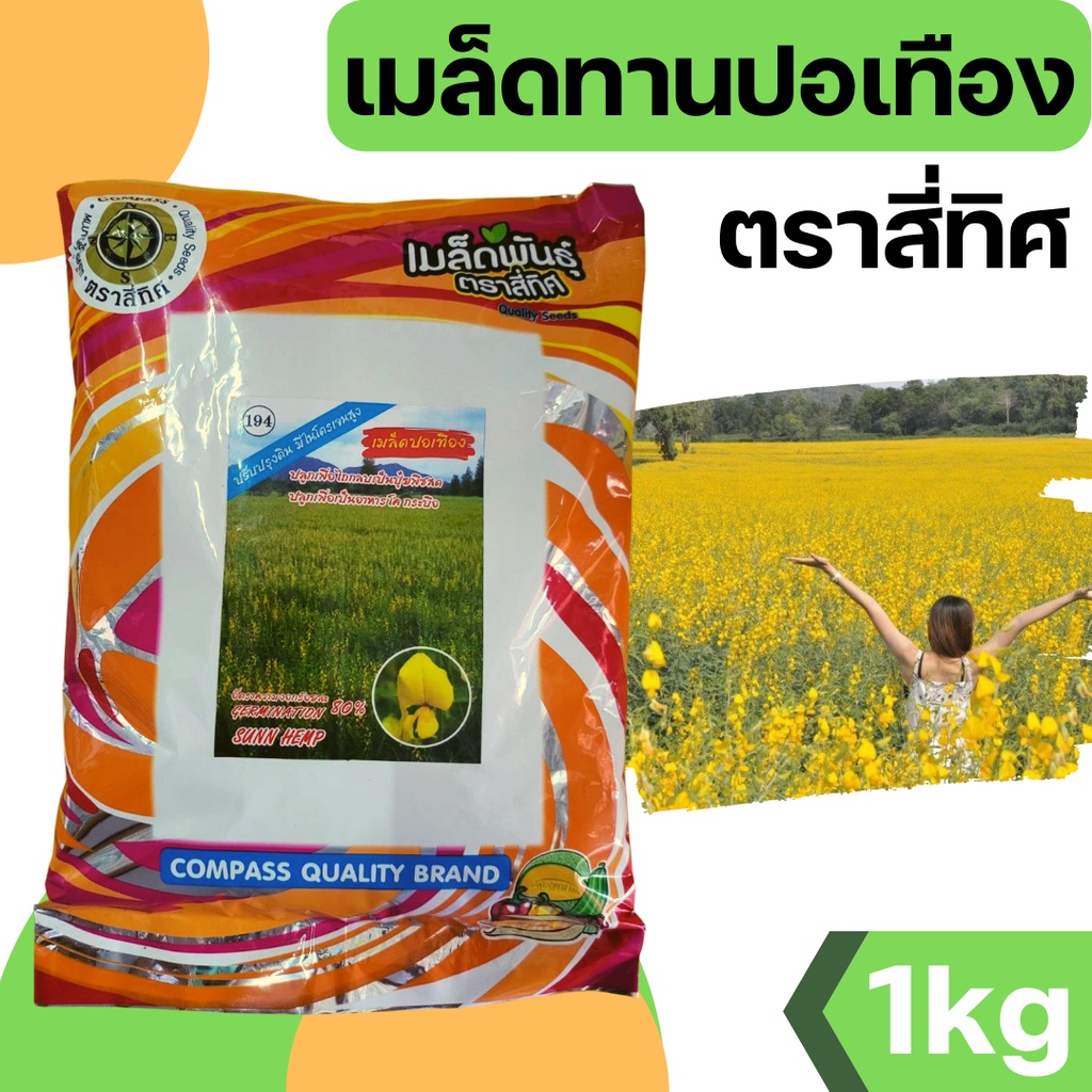 [สี่ทิศ][1kg] เมล็ดพันธุ์ ปอเทือง ขนาด 1 กิโลกรัม
