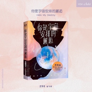 (พร้อมส่ง) นิยายจีน 你是宇宙安排的邂逅 Hello My Destiny 🌵🌏