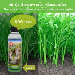 ปุ๋ยสำหรับ ผักบุ้ง ส่งเสริมการเจริญเติบโต ฉีดพ่น FKธรรมชาตินิยม