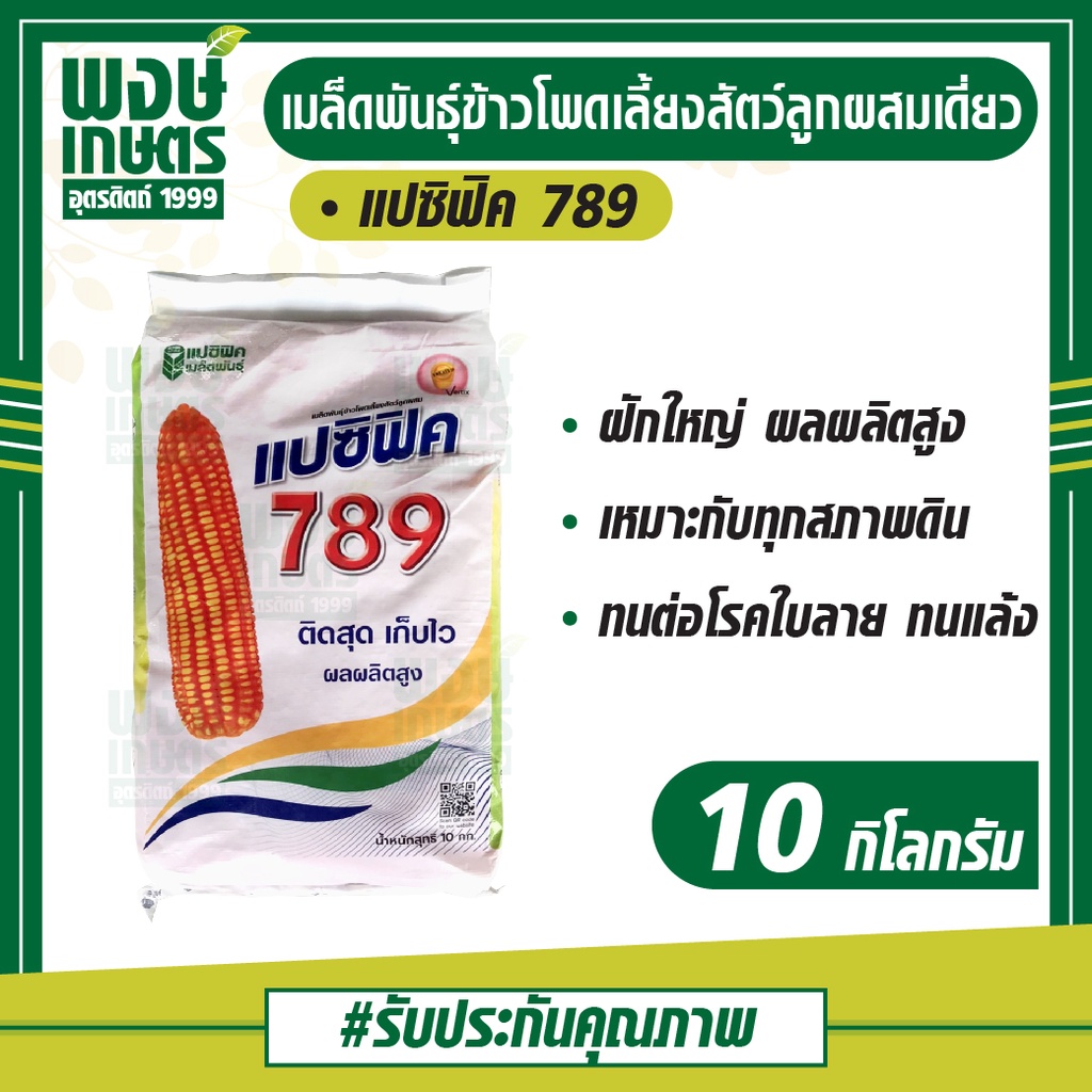 เมล็ดพันธุ์ข้าวโพดเลี้ยงสัตว์ลูกผสมเดี่ยว ตราแปซิฟิค789 เมล็ดพันธุ์ 10 kg 3.5หุน