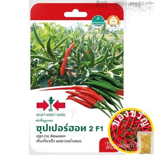 East-West Seed เมล็ดพันธุ์พริกขี้หนูลูกผสม (Hot pepper seeds) ซุปเปอร์ฮอท 2 F1苹果/香菜/鲜花/seeds/儿童/男装/芹菜/种子/手链/生菜//เมล็ด PI