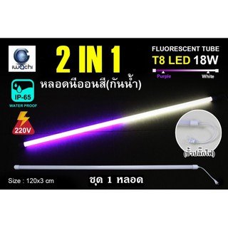 IWACHI หลอดนีออนสี ขั้วกันน้ำ 2 IN 1 พร้อมหัวปลั๊กเสียบ LED 18W สีขาว+สีม่วง