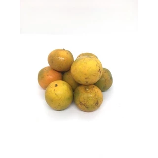 🍊ส้มสายน้ำผึ้ง [👍ใช้คั้นน้ำ 💲เบอร์ลาย] ขอคนเข้าใจส้มเบอร์ลาย - ส้มสำหรับคั้นน้ำขาย