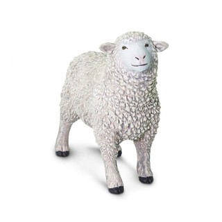 Safari Ltd. : SFR162429* โมเดลสัตว์ Sheep