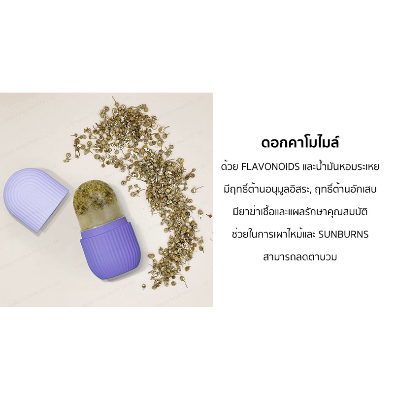 ซิริโคนนวดหน้า ICE FACIAL CUBE อุปกรณ์นวดหน้า ซิลิโคนทำน้ำแข็ง ช่วยฟรีชผิวให้ปัง รูขุมขนชิดมาก - รูปที่ 4