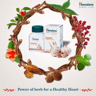 Himalaya Lasuna กระเทียมสกัดอัดเม็ด (60เม็ด)