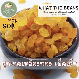 ลูกเกดเหลืองทองขนาดเล็ก 500 กรัม นุ่มหนึบ หวานอมเปรี้ยว