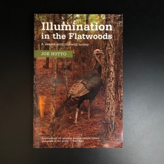 Illumination in Flatwood - Joe Hutto (ร้านหนังสือมือสองภาษาอังกฤษ Gekko Books)