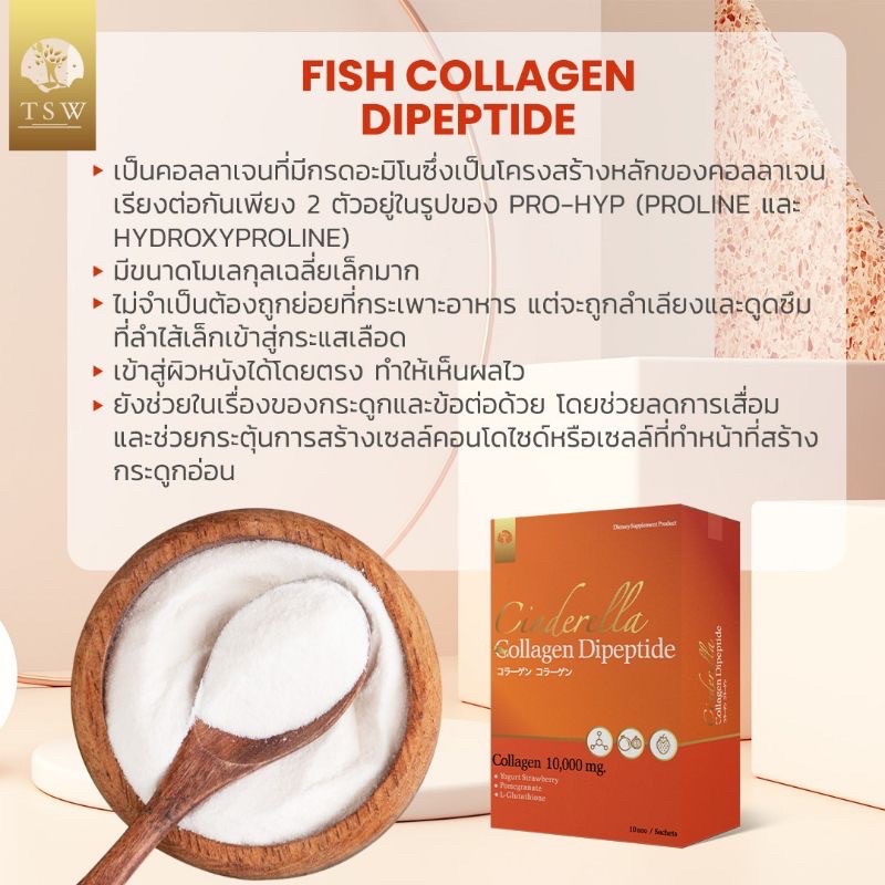 พร้อมส่ง Collagen คอลลาเจน ไดเปปไทด์ TSW ซินเดอเรลล่า ของแท้