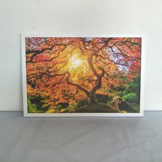 ภาพติดผนัง รวมกรอบสีขาว **พร้อมส่ง รูปภาพติดผนัง วิวธรรมชาติ สวยๆ