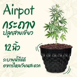 Airpot กระถางปลูกสายเขียว 12" กระถางปลูกต้นไม้เร่งราก กระถาง Air Pot กระถางมีรู กระถางต้นไม้ ปลูกกัญ กระถางต้นไม้มีรู