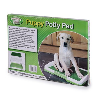 MI ห้องน้ำสุนัข ถาดฝึกฉี่ แผ่นรองฉี่ Dog Toilet Pad พร้อมหญ้าเทียม สำหรับฝึกให้สุนัขขับถ่าย รุ่นDS-111