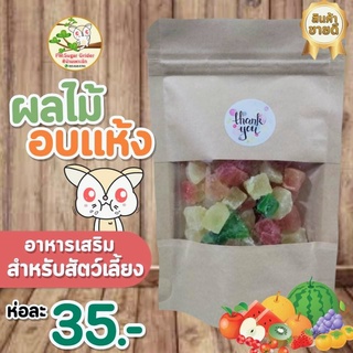 อาหารสัตว์ฟันแทะ ผลไม้อบแห้ง เสริมวิตตามิน สำหรับ ชูก้า,แฮมส์เตอร์,กระรอก อื่นๆ