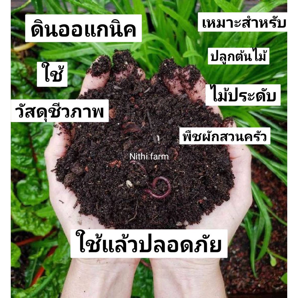 ดินปลูกต้นไม้ ดินออร์แกนิค 1kg ปลูกไม้ดอก ไม้ประดับ ดินปลูกคุณภาพดี ดินอินทรีย์พร้อมใช้ ปลูกง่าย พืชโตไว