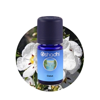 Oshadhi Cistus Essential Oil น้ำมันหอมระเหย (3 ml)