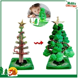 🎄พร้อมส่ง🎄ต้นคริสต์มาส ต้นไม้วิทยาศาสตร์ ของเล่น Magic Growing Christmas Tree ของขวัญคริสต์มาส