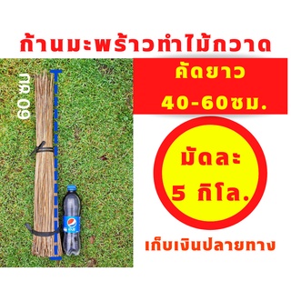 5 โล ก้านทางมะพร้าวทำไม้กวาด ยาว 40ซม ถึง 60ซม ก้านเหลาใหม่ ไม่ผุ ไม่ชื้น ไม่ขึ้นรา เก็บเงินปลายทางได้