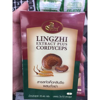 PHYTOGOLD สารสกัดเห็ดหลินจือ ผสม ถั่งเช่า Lingzhi Extract Plus Cordyceps 30 แคปซูล (🔥ถูกตาแตกแม่🔥)