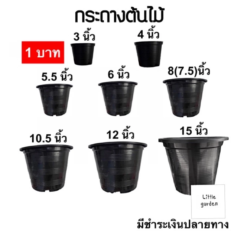 Little กระถางแคคตัส กระถางกระบองเพชร กระถางต้นไม้ 8 นิ้ว (7.5นิ้ว) 4 นิ้ว 6 นิ้ว 5 นิ้ว 3 นิ้ว 2 นิ้วน.ต.