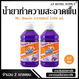 น้ำยาทำความสะอาดพื้น มิสเตอร์ มัสเซิล เกลด ลาเวนเดอร์ 5200 ml, 2 แกลลอน สำหรับโรงแรม รีสอร์ท สปา และห้องพักในอพาร์ทเม้นท