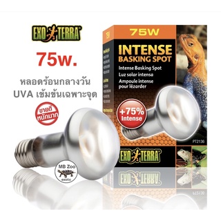 หลอดUVA ให้ความร้อนและแสงสว่างในเวลากลางวัน EXOTERRA INTENSE BASKING SPOT LAMP  ขนาด75วัตต์ (75w.) #ของแท้100%