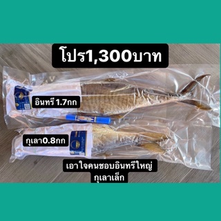 โปร 1,300 บาท ประหยัดไปเกือบ 200 บาท ‼️‼️ เอาใจคนชอบอินทรีใหญ่ กุเลาเล็ก