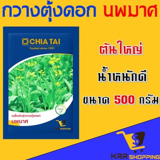 เมล็ดพันธุ์กวางตุ้งดอก นพมาศ เจ๋ยไต๋ ตราเครื่องบิน ขนาด 500 กรัม กวางตุ้งดอก เมล็ดกวางตุ้ง เมล็ดกวางตุ้งดอก