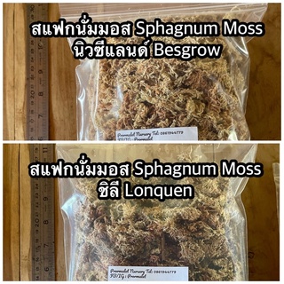 สแฟกนั่มมอส Sphagnum moss วัสดุเก็บความชื้น สำหรับใช้ปลูกต้นไม้ที่ต้องการความชื้นมาก เช่น กล้วยไม้ ไม้ใบ บอนสีต่างๆ