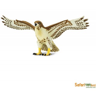 Safari Ltd. : SFR151029 โมเดลสัตว์ Red-Tailed Hawk