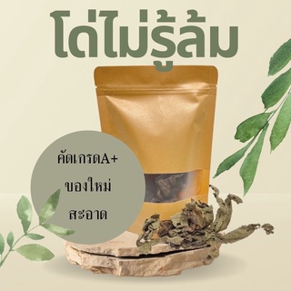 สมุนไพร โด่ไม่รู้ล้ม อบแห้งอย่างดี 200 กรัม