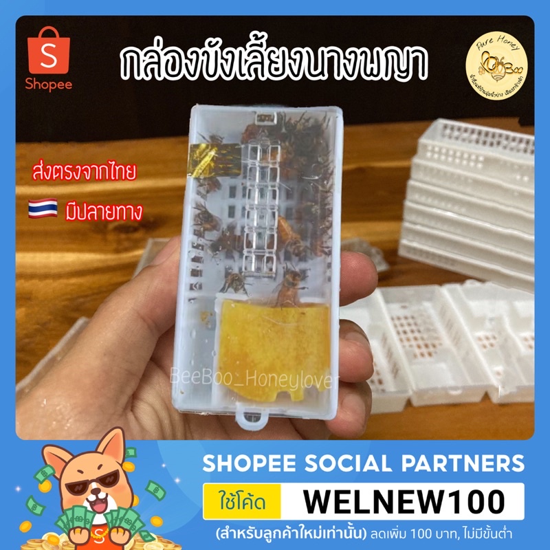 🇹🇭ส่งไว‼️กล่องขังเลี้ยงนางพญาผึ้ง กล่องกักนางพญา กล่องเลี้ยงผึ้ง ย้ายนางพญา [beekeeping] เลี้ยงนางพญา อุปกรณ์เลี้ยงผึ้ง
