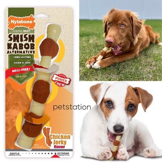 Nylabone Power Chew ของเล่นขัดฟัน