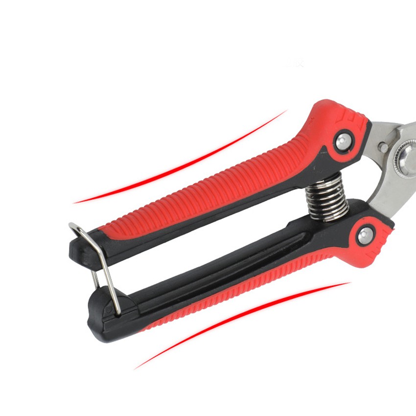 พร้อมส่ง🚕 กรรไกรตัดกิ่ง คีมตัดกิ่งไม้ กรรไกรตัดดอกไม้ ตกแต่งกิ่ง ปลายแหลม กรรไกรสแตนเลส เครื่องมือจัดทำสวน - รูปที่ 5