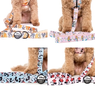 Pablo and Co Dog Leash สายจูงสำหรับสุนัข ลายดิสนีย์ลิขสิทธิ์แท้