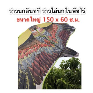 ว่าว นกอินทรีย์ ขนาดใหญ่ 150 x 60 cm ว่าวไล่นก ว่าวไล่ศัตรูพืช วิ่งว่าว