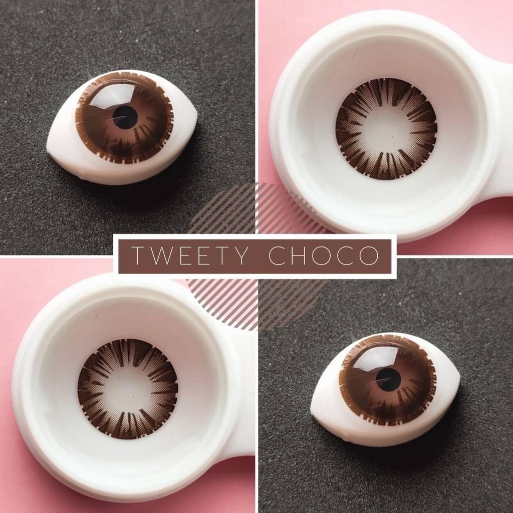 💜 TWEETY Choco Brown บิ๊กอาย สีช็อคโก้ สีน้ำตาล แบ๊ว ตาโต Dream Color1 Contact Lens Bigeyes คอนแทคเลนส์ สายตาสั้น